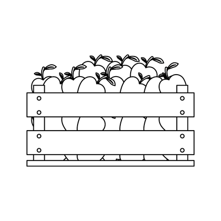 box with apples icon over white background vector illustrationのイラスト素材