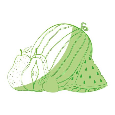watermelon, pear and strawberry fruits icon over white background vector illustrationのイラスト素材