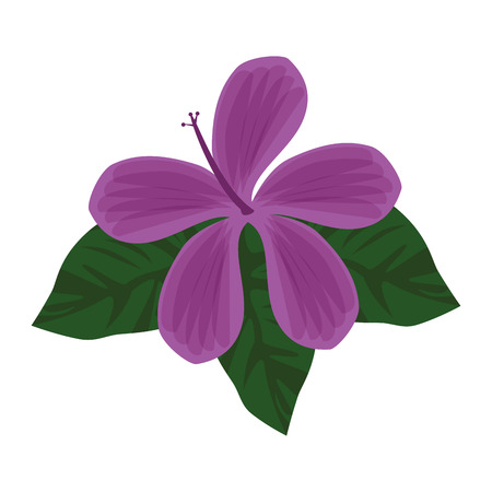 Beautiful ornamental flowers icon vector illustration graphic designのイラスト素材