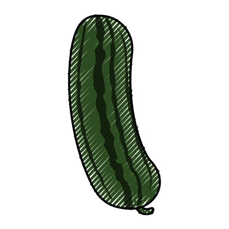 Cucumber fresh vegetable icon vector illustration graphic designのイラスト素材
