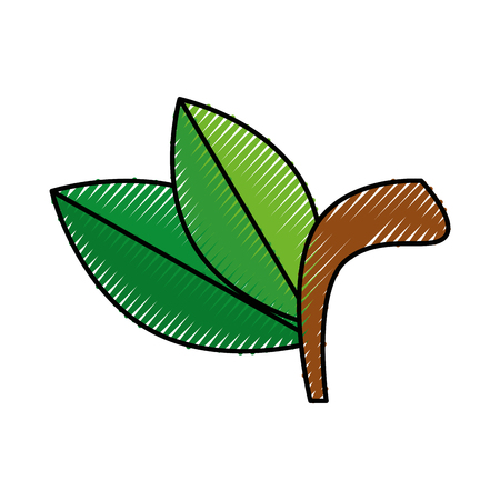 Fruit leaves isolated icon vector illustration graphic designのイラスト素材