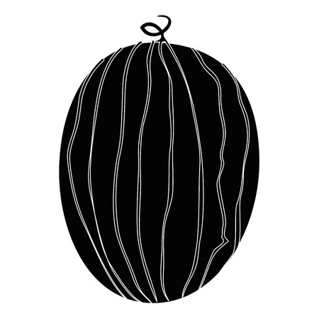 Watermelon delicious fruit icon vector illustration graphic designのイラスト素材