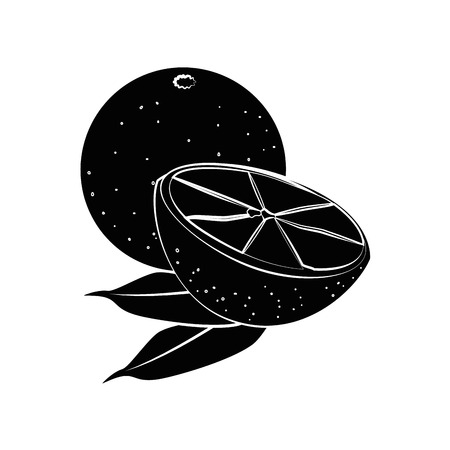 Orange citric fruit icon vector illustration graphic designのイラスト素材