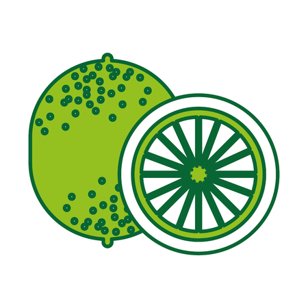 lemon tropical and exotic fruit vector illustration designのイラスト素材