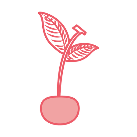 cherry tropical and exotic fruit vector illustration designのイラスト素材