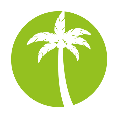 tree palm summer icon vector illustration designのイラスト素材