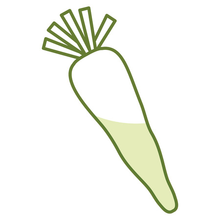 carrot fresh vegetable icon vector illustration designのイラスト素材