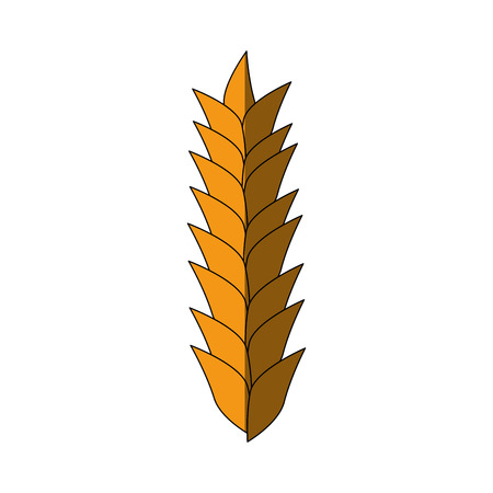 Wheat cereal food icon vector illustration graphic designのイラスト素材