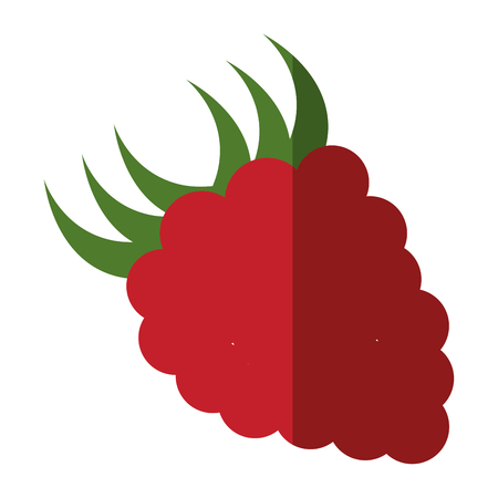 blackberry fruit icon over white background vector illustrationのイラスト素材