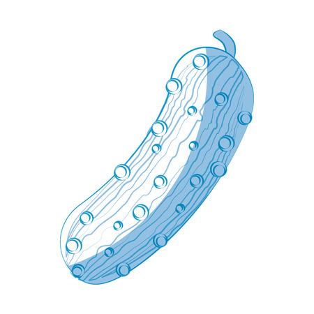 cucumber vegetable icon over white background vector illustrationのイラスト素材