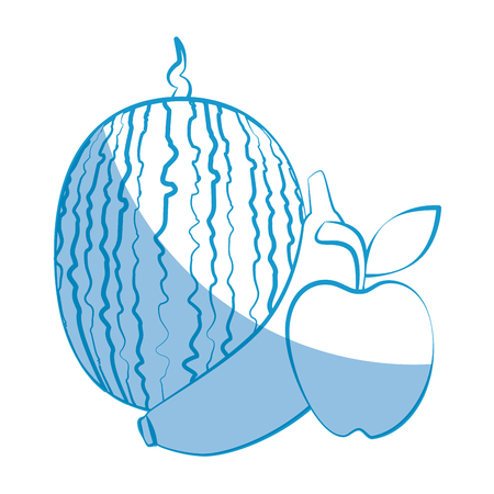 watermelon and fruits icon over white background vector illustrationのイラスト素材