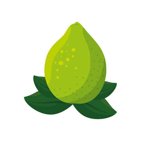isolated acid lemon icon vector illustration graphic designのイラスト素材