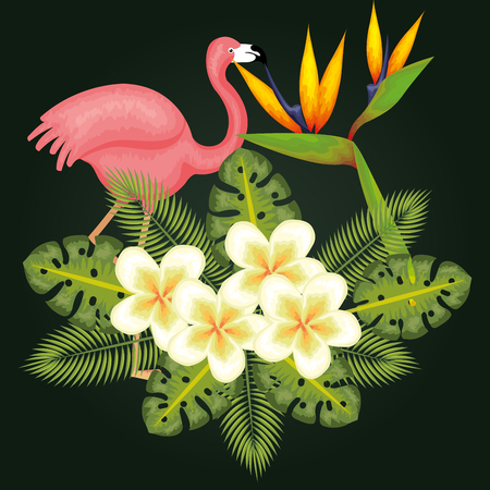 Tropical flowers and leaves with pink flamingo over dark green background vector illustrationのイラスト素材
