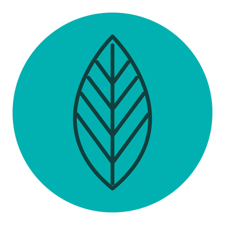 leafs plant ecology icon vector illustration designのイラスト素材