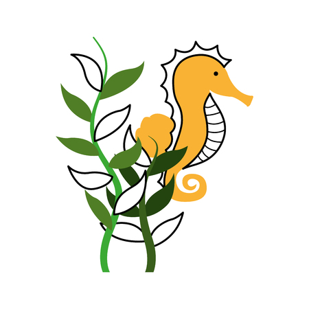 cute seahorse isolated icon vector illustration designのイラスト素材