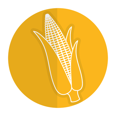 corn cob isolated icon vector illustration designのイラスト素材