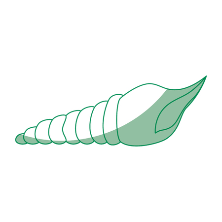 Mollusk icon over white background vector illustrationのイラスト素材