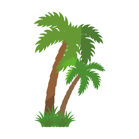 tropical palms icon over white background vector illustrationのイラスト素材