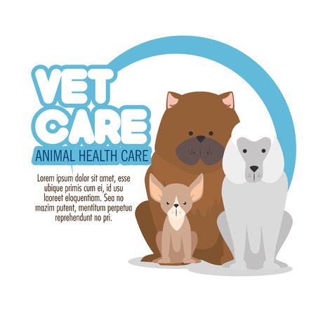 veterinary pet clinic vector illustration graphic designのイラスト素材