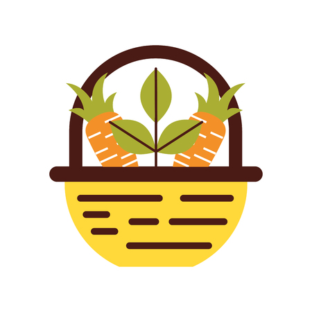 straw basket with carrot vector illustration designのイラスト素材