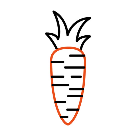 fresh carrot isolated icon vector illustration designのイラスト素材