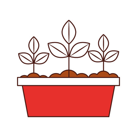 Cultivated plant in pot vector illustration designのイラスト素材