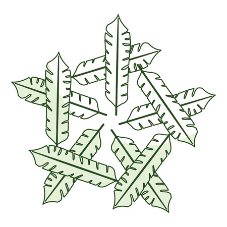 tropical leafs decorative frame vector illustration designのイラスト素材