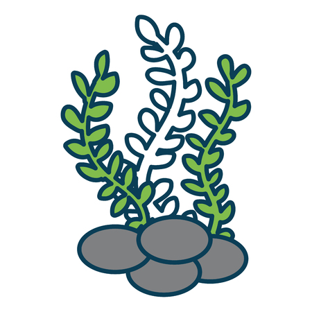 sea weed isolated icon vector illustration designのイラスト素材