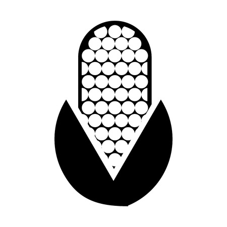 corn vegetable isolated icon vector illustration designのイラスト素材
