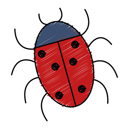 ladybug animal isolated icon vector illustration designのイラスト素材
