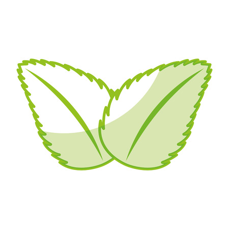 tea leafs product icon vector illustration designのイラスト素材