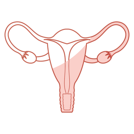 Female reproductive organ icon vector illustration designのイラスト素材