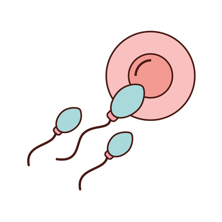 Fertilization of the ovum by the spermatozoon vector illustration designのイラスト素材