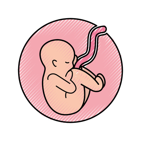 human fetus isolated icon vector illustration designのイラスト素材