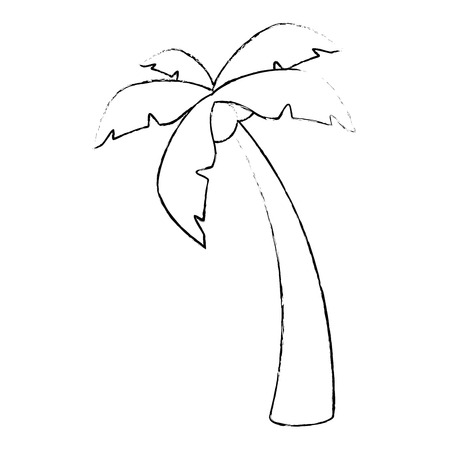 tropical palm icon over white background vector illustrationのイラスト素材