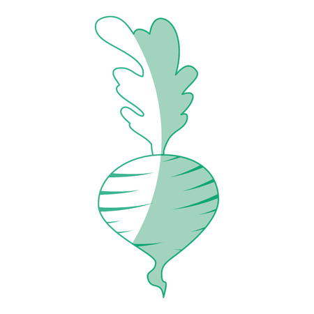 Isolated garlic icon vector illustration graphic designのイラスト素材