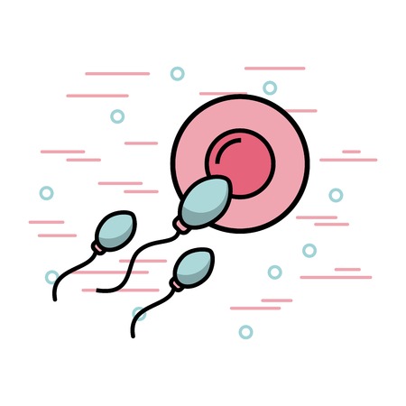 Female fertilization process icon vector illustration design graphic.のイラスト素材