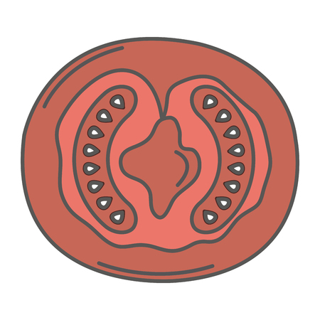half tomato fresh isolated icon vector illustration designのイラスト素材