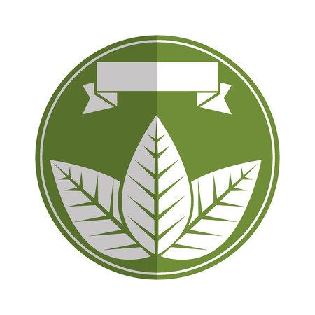 seal stamp with decorative leaves over white background iconのイラスト素材