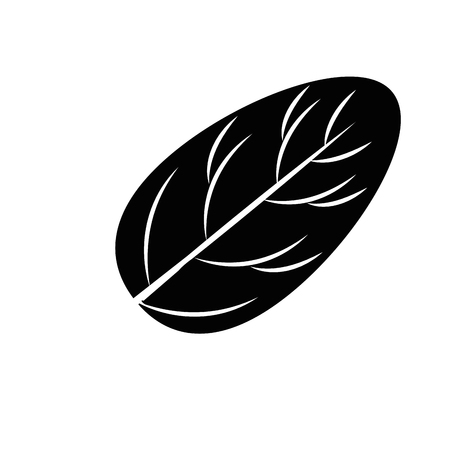 Spinach leaf icon vector illustrationのイラスト素材