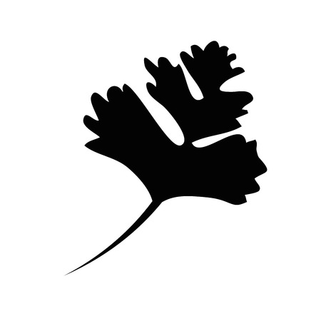 Coriander icon vector illustrationのイラスト素材