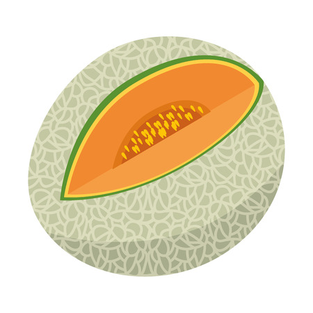 Melon delicious fruit icon vector illustration graphic design, isolatedのイラスト素材