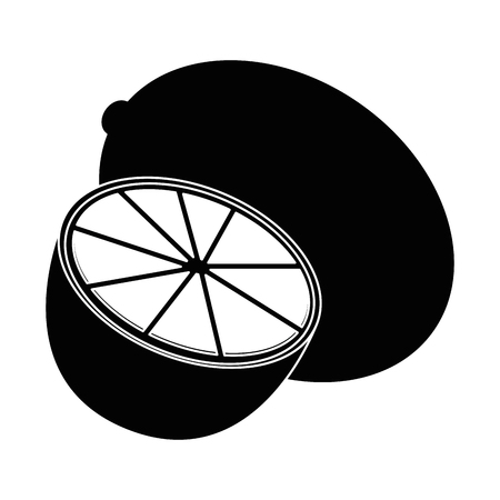 Orange citric fruit icon vector illustration graphic designのイラスト素材