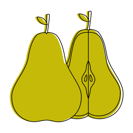 pear fruit icon over white background vector illustrationのイラスト素材