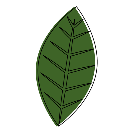 leaf plant isolated icon vector illustration designのイラスト素材