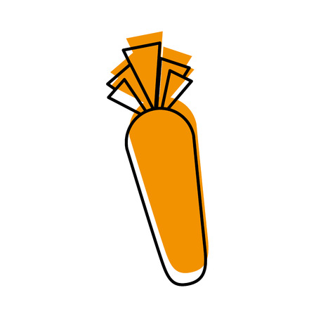 carrot vegetable fresh supermarket food design vector illustrationのイラスト素材