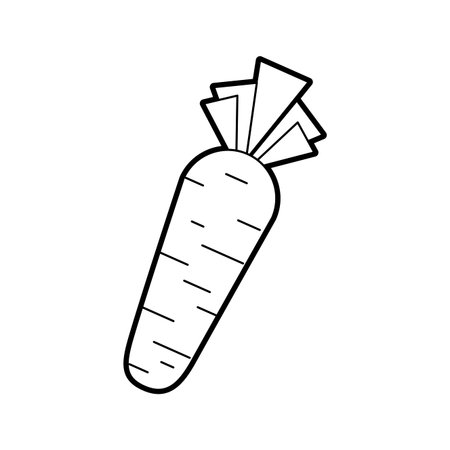 carrot vegetable fresh supermarket food design vector illustrationのイラスト素材