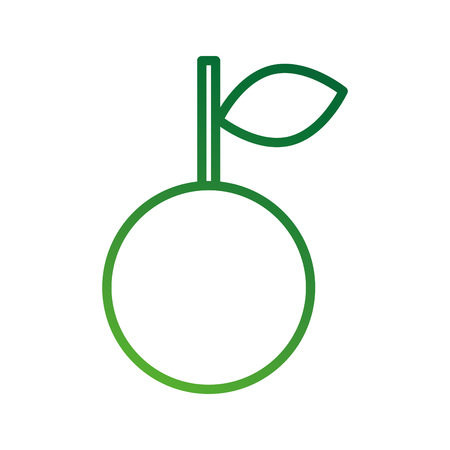 farm fruit orange nature food nutrition vitamin vector illustrationのイラスト素材