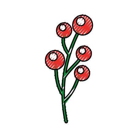 christmas branch holly berry foliage decoration vector illustrationのイラスト素材