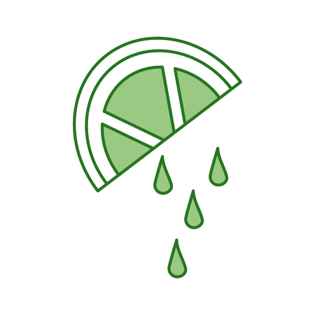 sliced lime juicy citrus fruit tropical vector illustrationのイラスト素材
